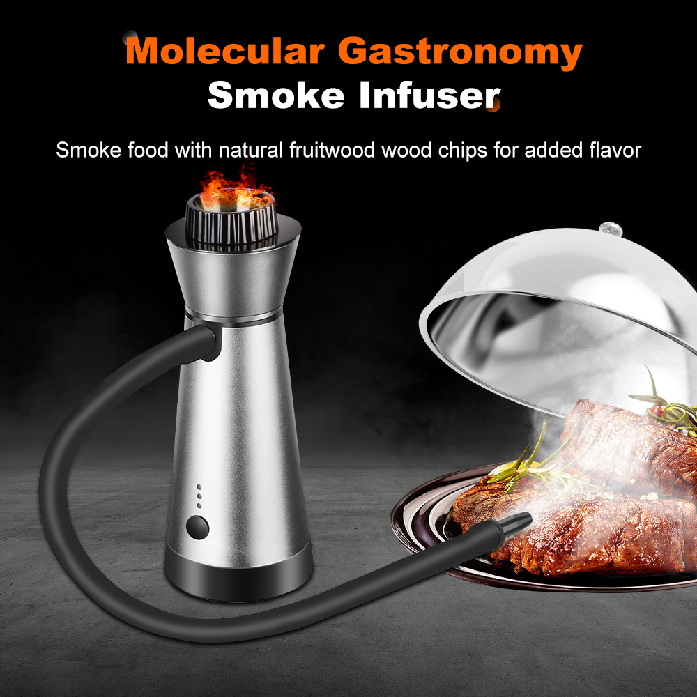 Portable Molecular Cuisine Smo - Smoking Gun Kit ulasan dan harga